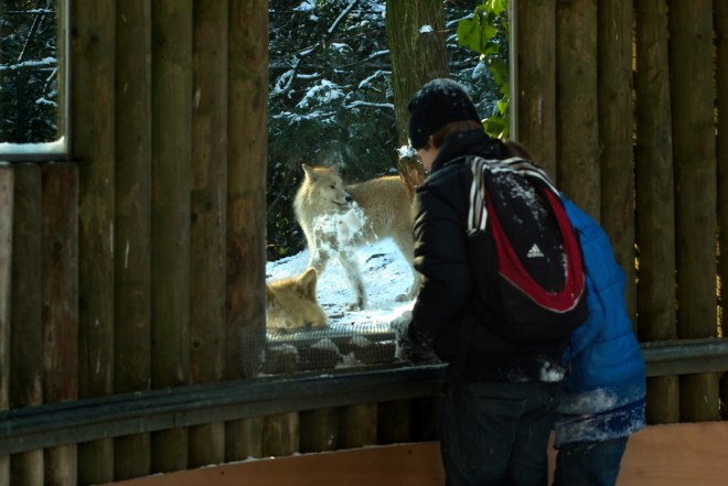 What are those boys up to?