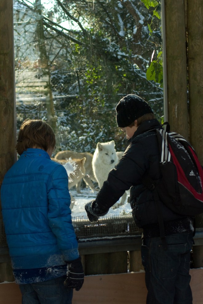 A crack in the wall... and a stick
