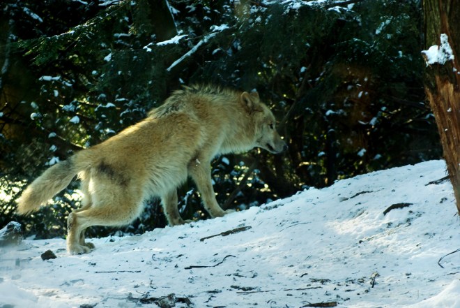 Re-claiming the territory