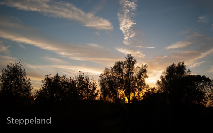 My today's sunset 0150