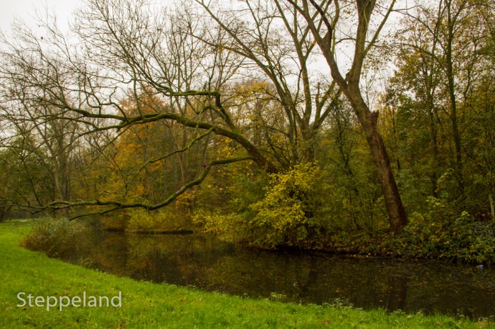 Nice water features reflect the colours of fall