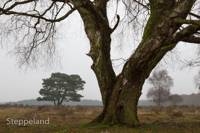 They can see each other, but they'll never meet... 