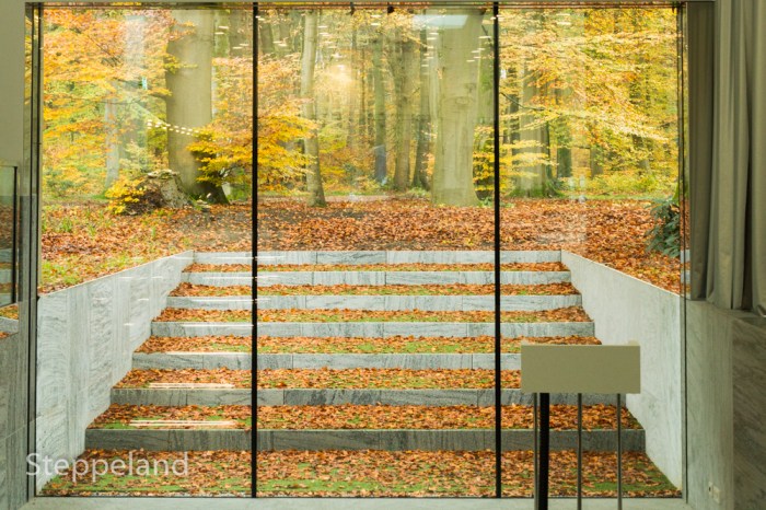 Modern architecture and autumn forest abstract 02
