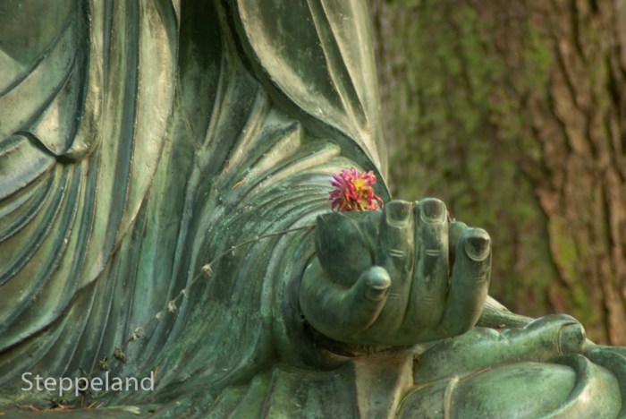 Little fall flower in the hands of the Buddah