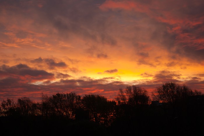 My today's sunrise 1060