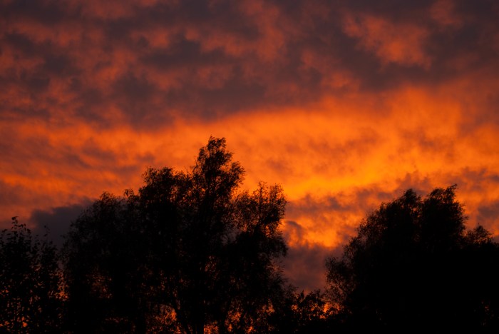 My today's sunset 0145