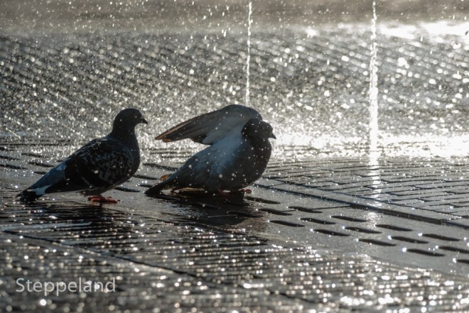 Good morning, how are you today?